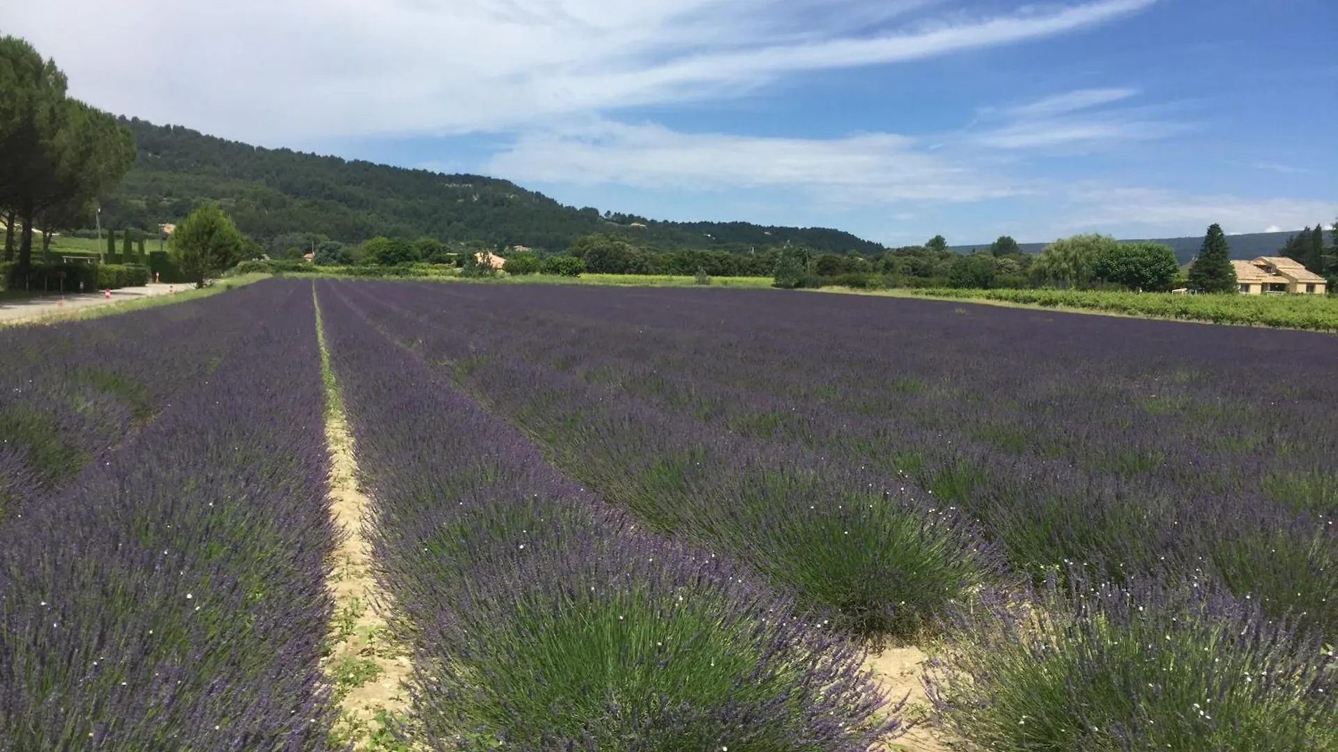 Lagalerie84 Villa Saint-Saturnin-les-Apt 0*,  France