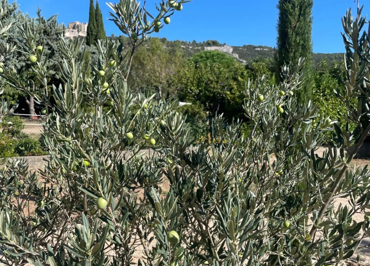 Lagalerie84 Villa Saint-Saturnin-les-Apt